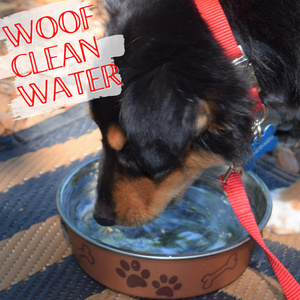 YOU LOVE CLEAN WATER ON YOUR RV TRIPS. YOUR PETS DO TOO.