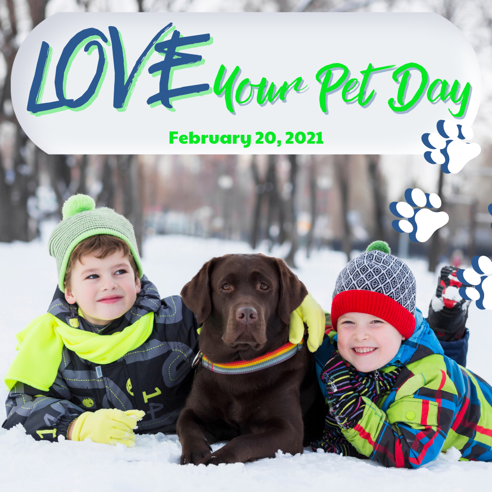 LOVE YOUR PET DAY: WATER YOU DOING TO CELEBRATE?
