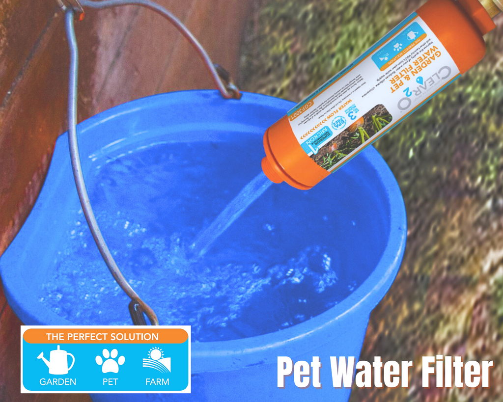 Ensuring Optimal Hydration for Your Horse: A Helpful Guide for Horse Owners