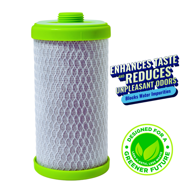 CLEAR2O® DirtGUARD™ Replacement Filters – 2 Pack (CTFC502)