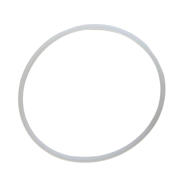 CLEAR2O DIRTGUARD TOTAL FILTRATION SYSTEM O RING GASKET - 2 PK - DTFS1002